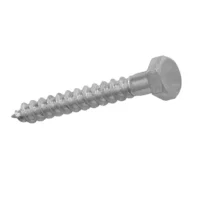 Stainless Steel Coach Screws - M8 x 100mm